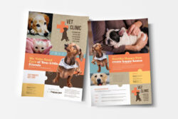 custom professional veterinary clinic brochure template