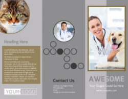 custom professional veterinary clinic brochure template pdf