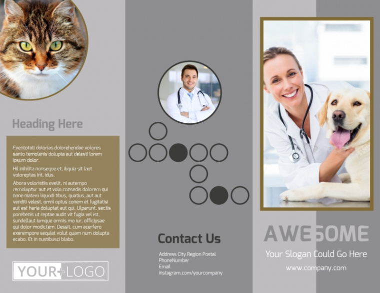 Professional Veterinary Clinic Brochure Template