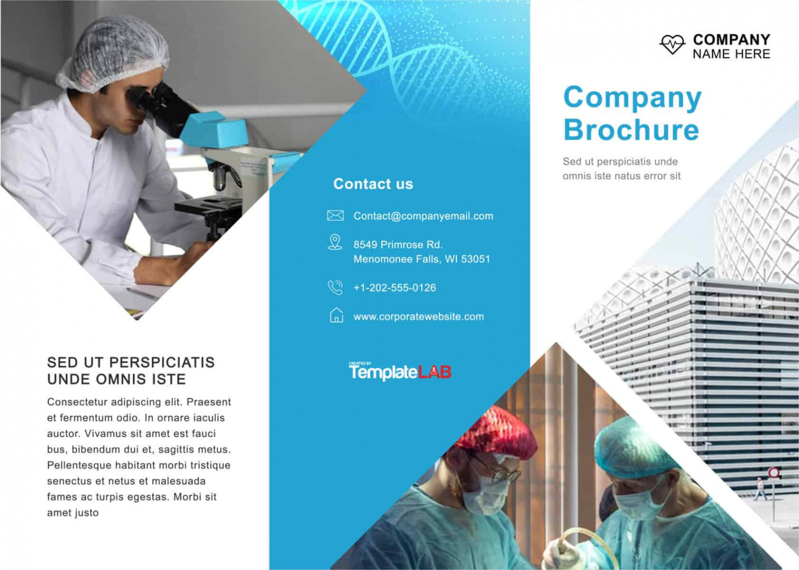 Professional Consulting Firm Brochure Template