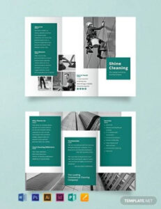 editable professional home cleaning brochure template