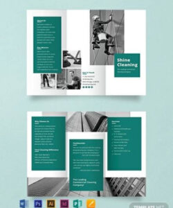 editable professional home cleaning brochure template