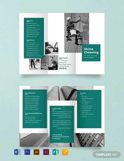 Professional Home Cleaning Brochure Template