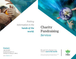 free sample nonprofit organization fundraising brochure template example