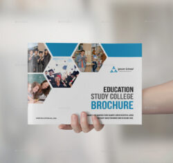 free  school and education brochure template pdf