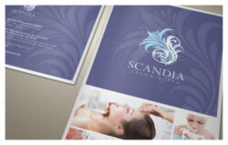 free  stylish luxury spa brochure template pdf