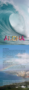 editable hawaii travel vacation brochure template pdf