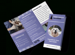 editable unique pet grooming brochure template word