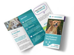 free  pet care services brochure template sample