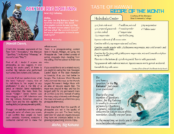 free sample hawaii travel vacation brochure template sample