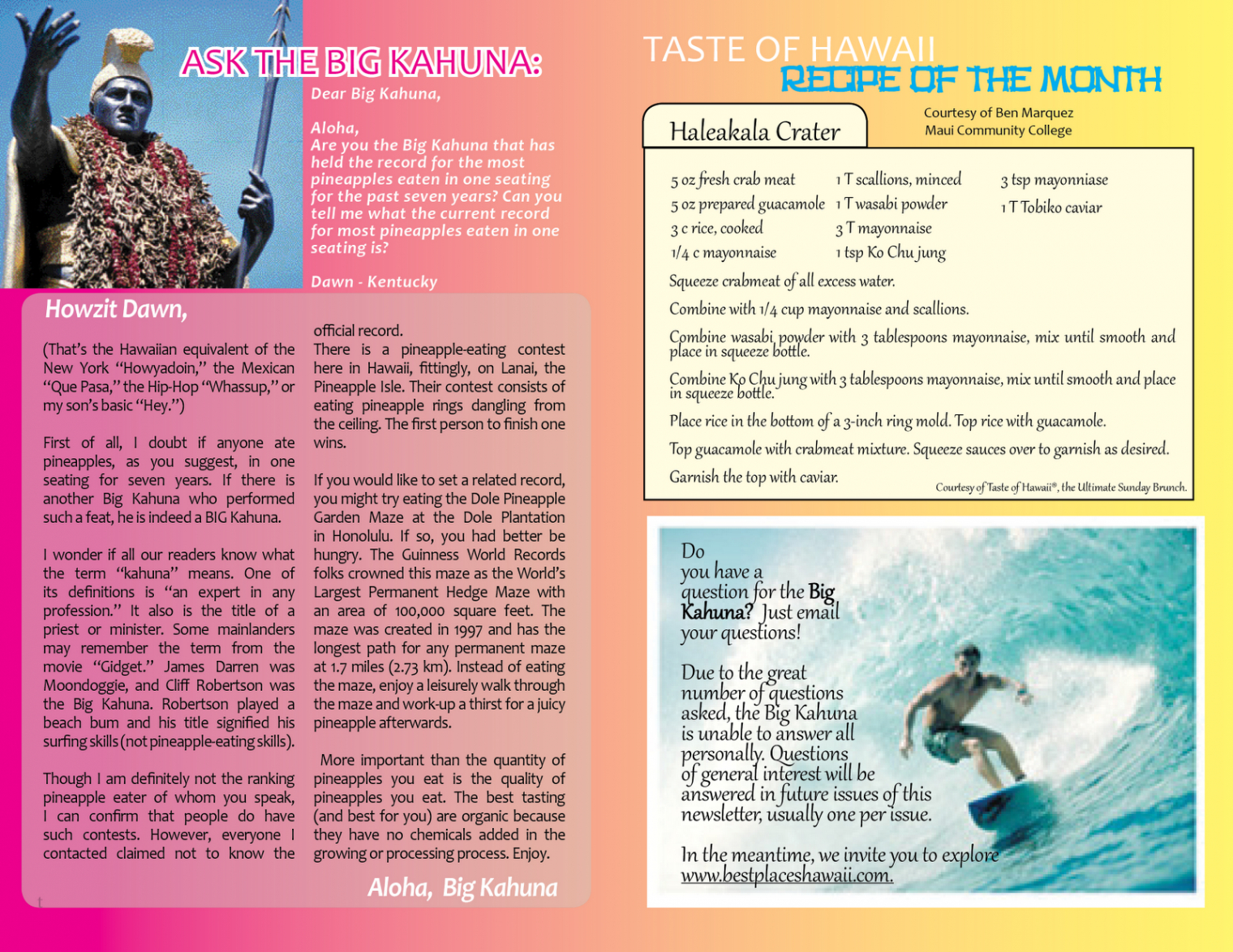 free sample hawaii travel vacation brochure template sample