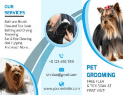 free sample unique pet grooming brochure template sample