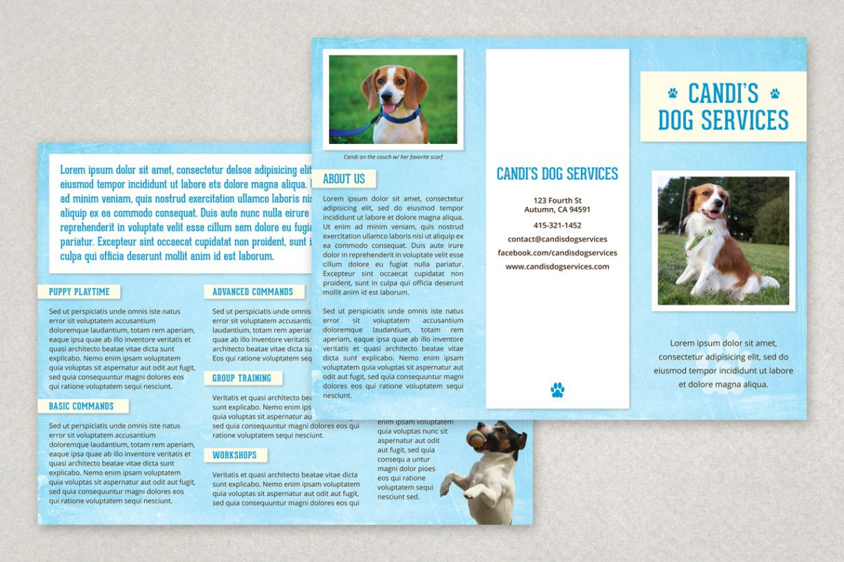 pet care services brochure template example