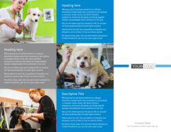 printable pet care services brochure template pdf