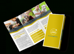 sample unique pet grooming brochure template