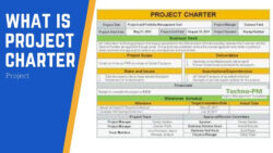 editable pmbok® project charter template excel pmi examples 46% off pmi project charter template word