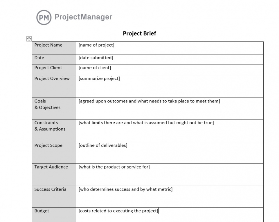 Client Project Brief Template