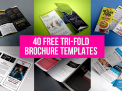 printable half fold then tri fold brochure template excel