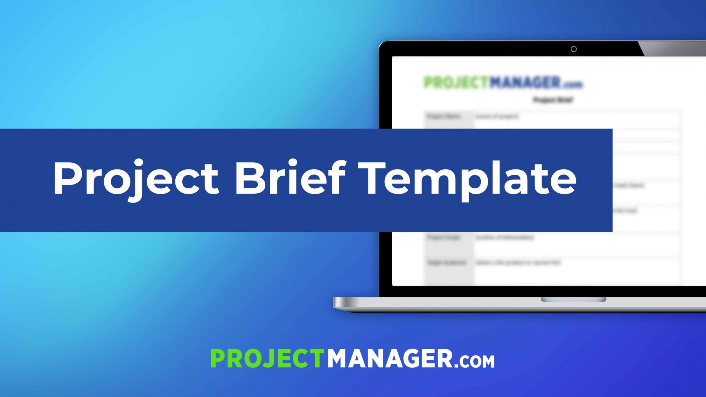 project brief template  projectmanager it project brief template excel