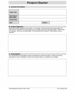 project charter template pdf  edit fill sign online  handypdf quality improvement project charter template excel