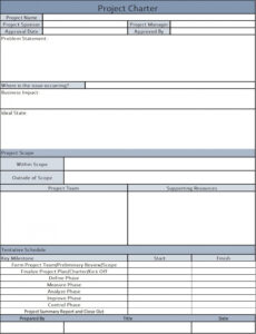 sample six sigma project charter excel template  etsy norway lean six sigma project charter template example