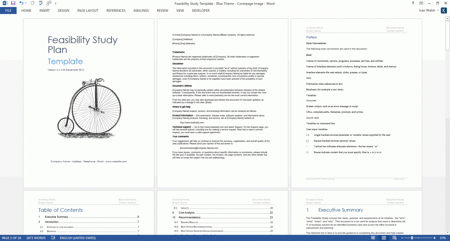 editable feasibility study templates ms word  templates forms checklists for ms office and apple iwork construction project feasibility study template word