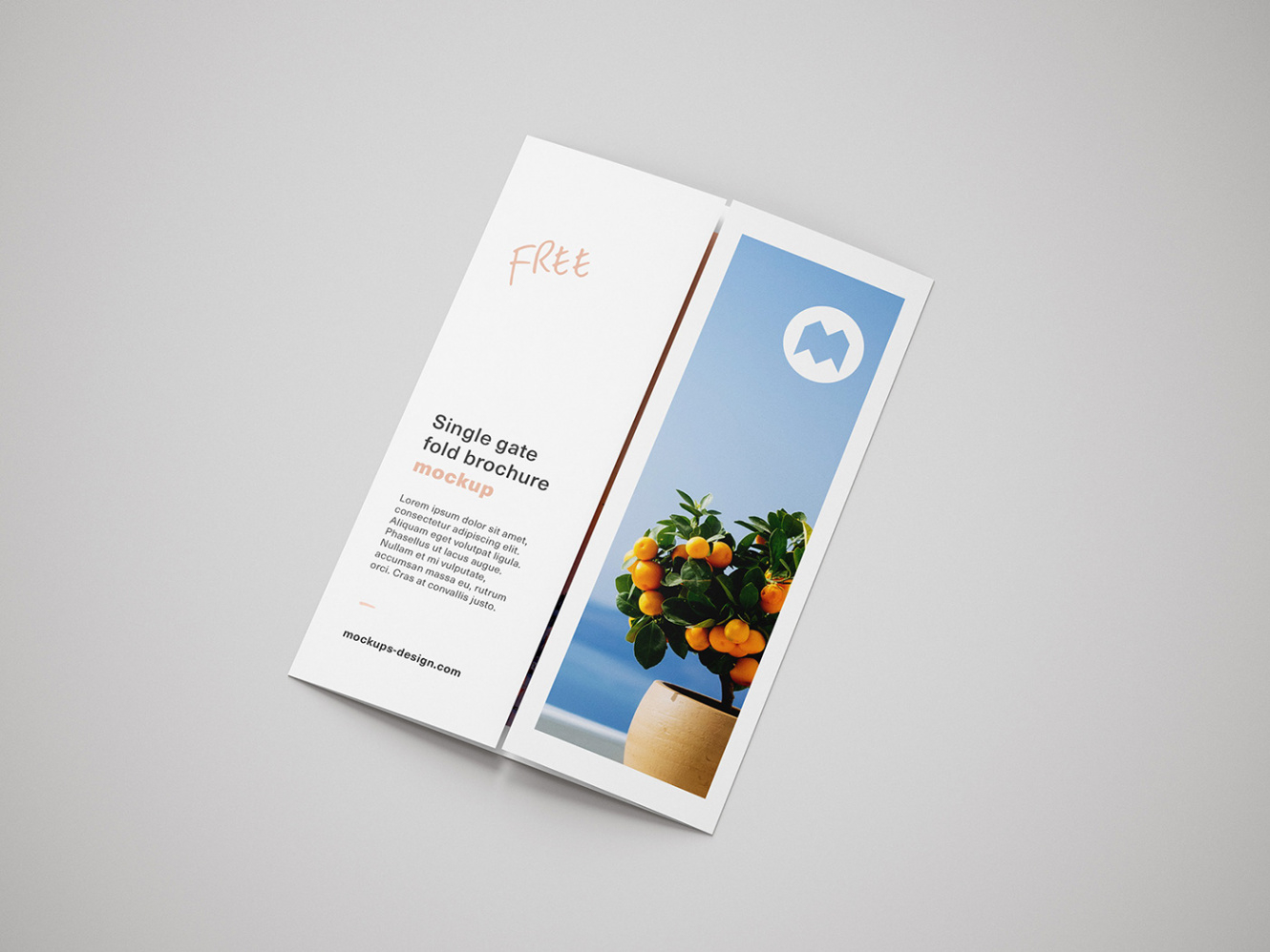 Open Gate Fold Brochure Template