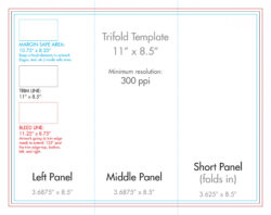 legal size paper brochure template example