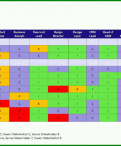 sample roles and responsibility fillable template matrix project roles and responsibilities template word