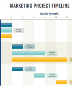 free 10 sample marketing timeline templates in pdf  ms word  excel market research project template