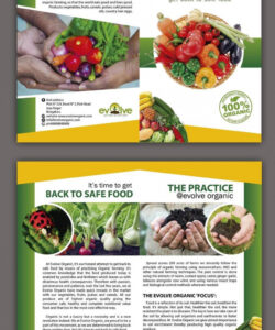 free sample fruits and vegetables brochure design template doc