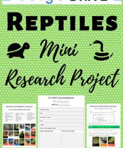 google drive reptiles mini research project  research projects research skills distance learning mini research project template  example