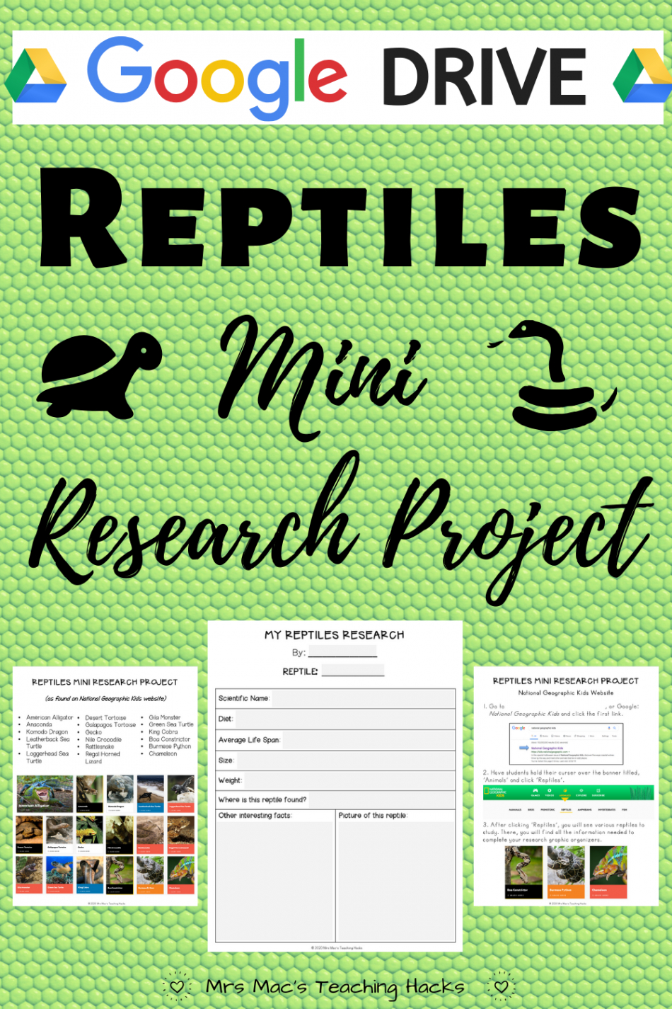 google drive reptiles mini research project  research projects research skills distance learning mini research project template  example