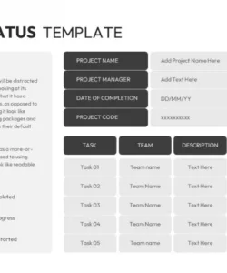 printable project status update slides  slidekit executive project status update template