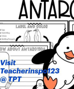 printable research project on antarctica for 2nd grade  artofit 2nd grade research project template  sample