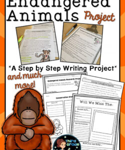 sample endangered animals research project informative writing report template  endangered animals animal research project template