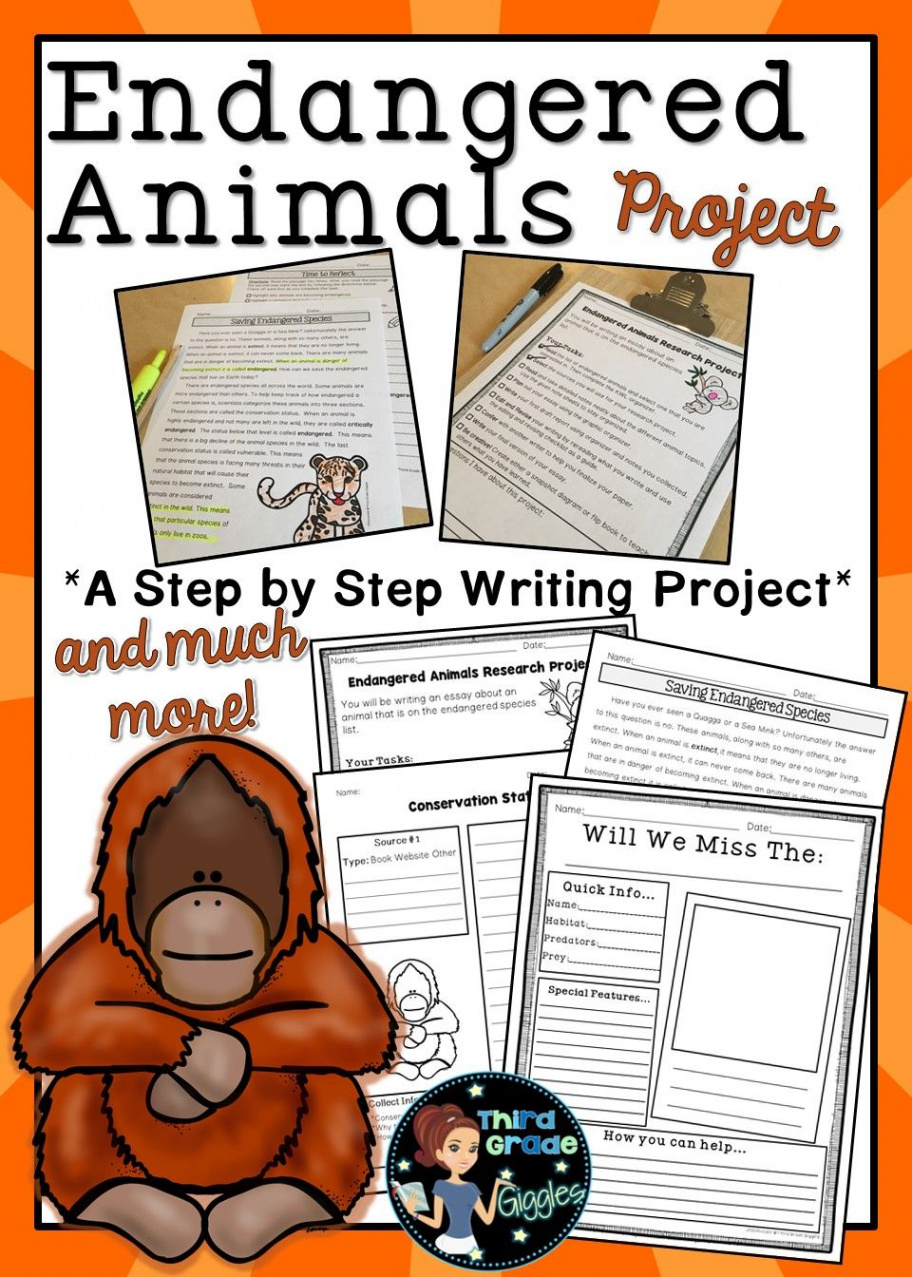 sample endangered animals research project informative writing report template  endangered animals animal research project template