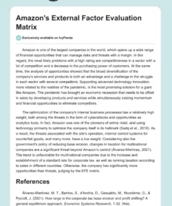 amazon&amp;#039;s external factor evaluation matrix  290 words  essay example external factor evaluation matrix template word