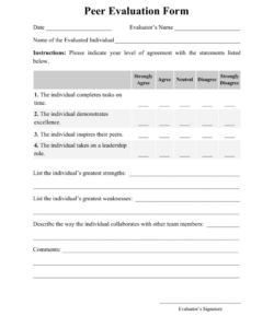 editable presentation evaluation template  sfiveband full and individual evaluation template sample