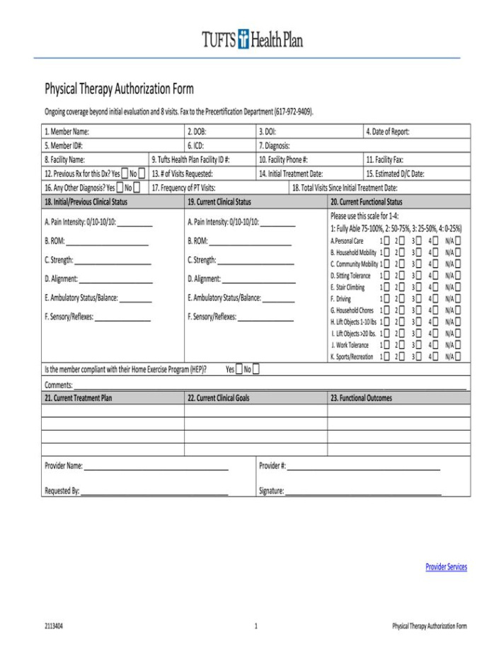 printable physical therapy evaluation template pdf  fill online intended for physical therapy shoulder evaluation template pdf