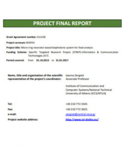 project final report  19 examples format pdf final year project documentation template excel