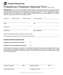 sample 90 day evaluation form templates 90 day performance evaluation template pdf