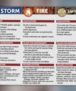 Custom Disaster Preparedness Brochure Template Word