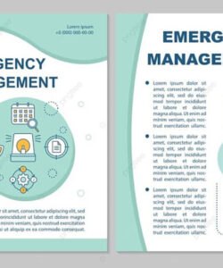 Editable Disaster Preparedness Brochure Template Sample