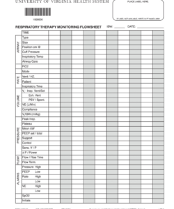 editable occupational therapy flow sheet  fill online printable fillable work conditioning evaluation template excel