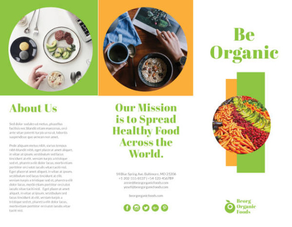 Free  Food Product Brochure Template Word