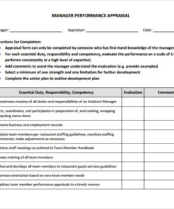 free manager performance evaluation template  pdf template cfo performance evaluation template