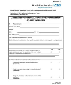 printable functional capacity assessment report template  printable templates free functional capacity evaluation template example